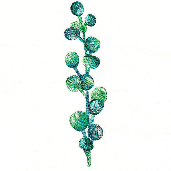 Bubbly Botanical in Watercolor