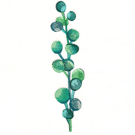 Bubbly Botanical in Watercolor