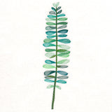 Whimsical Botanical in Watercolor