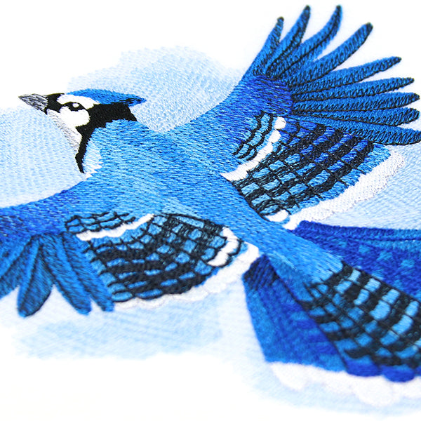 Soaring Blue Jay in Watercolor