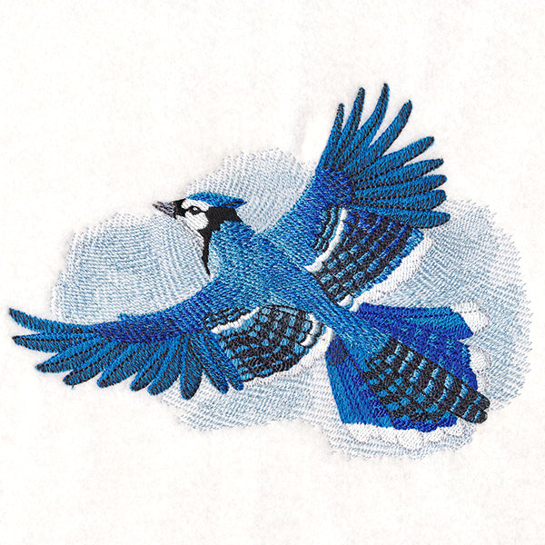Soaring Blue Jay in Watercolor