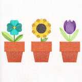 Bright and Breezy Flowerpots Trio