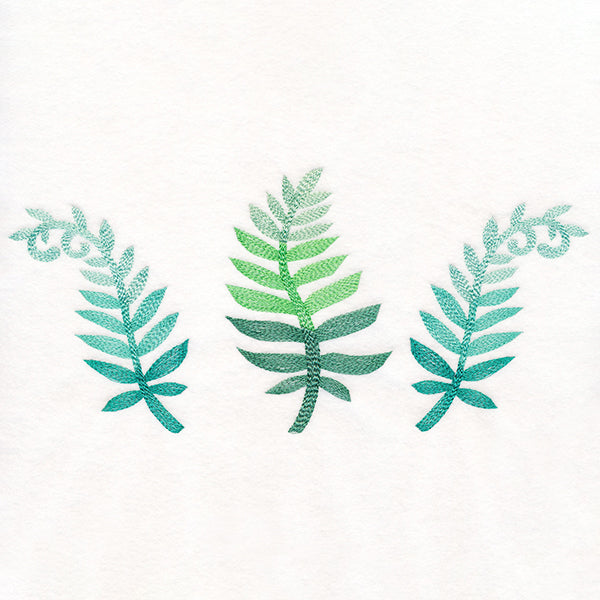 Bright and Breezy Ferns Trio