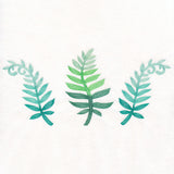 Bright and Breezy Ferns Trio