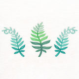 Bright and Breezy Ferns Trio