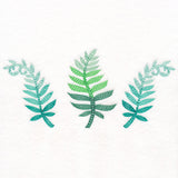 Bright and Breezy Ferns Trio