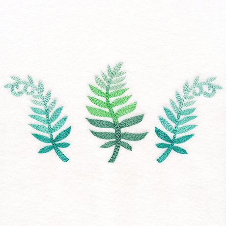 Bright and Breezy Ferns Trio