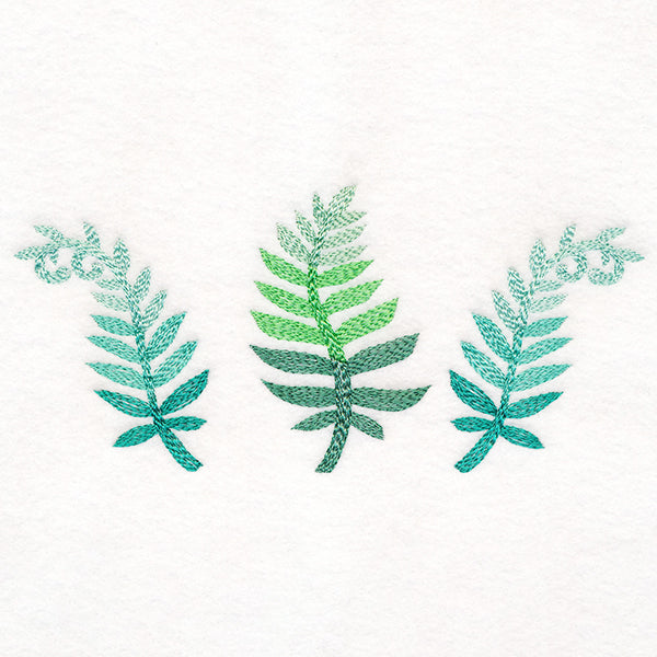 Bright and Breezy Ferns Trio
