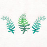 Bright and Breezy Ferns Trio