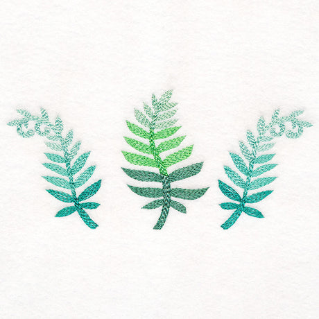 Bright and Breezy Ferns Trio