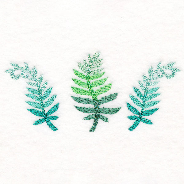 Bright and Breezy Ferns Trio