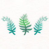 Bright and Breezy Ferns Trio