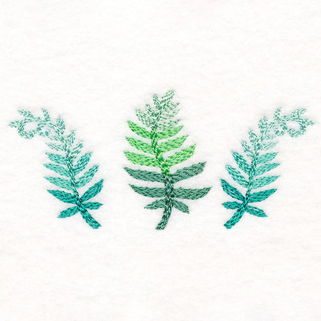 Bright and Breezy Ferns Trio