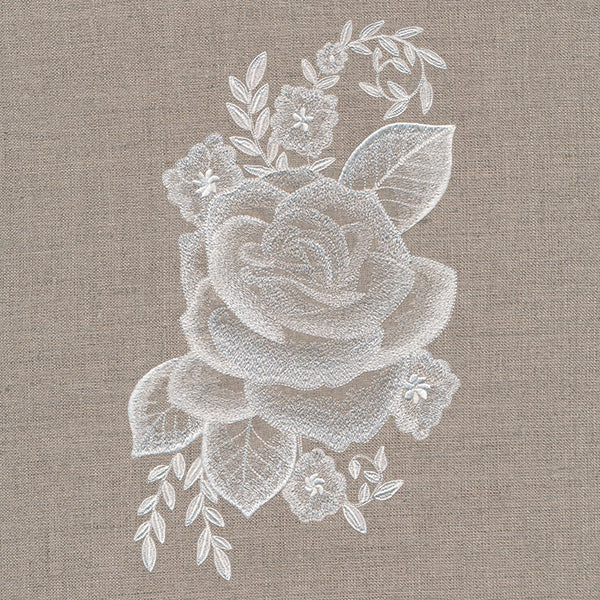 Elegance in Bloom Rose