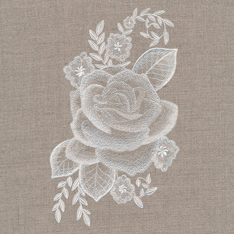 Elegance in Bloom Rose