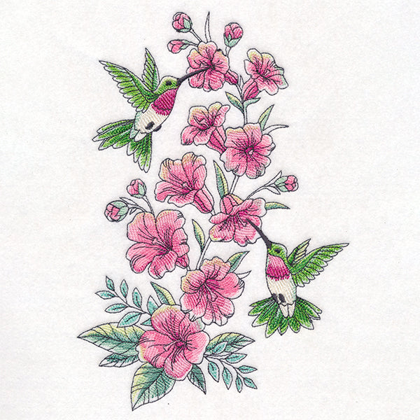 Hibiscus & Hummingbirds Garden Spray