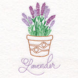 Fancy Flowerpot Lavender (Vintage)