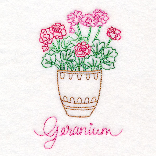 Fancy Flowerpot Geraniums (Vintage)