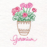 Fancy Flowerpot Geraniums (Vintage)
