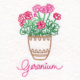 Fancy Flowerpot Geraniums (Vintage)