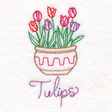 Fancy Flowerpot Tulips (Vintage)