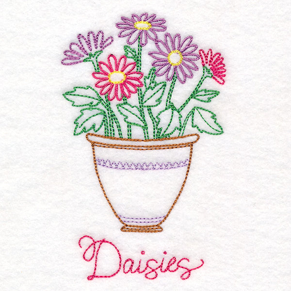 Fancy Flowerpot Daisies (Vintage)