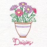 Fancy Flowerpot Daisies (Vintage)