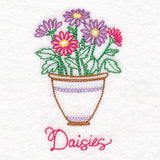 Fancy Flowerpot Daisies (Vintage)