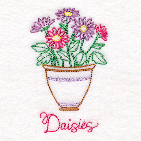 Fancy Flowerpot Daisies (Vintage)