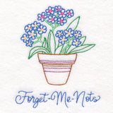 Fancy Flowerpot Forget-Me-Nots (Vintage)
