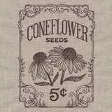 Flower Garden Seed Packet - Coneflowers
