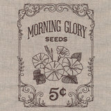 Flower Garden Seed Packet - Morning Glories
