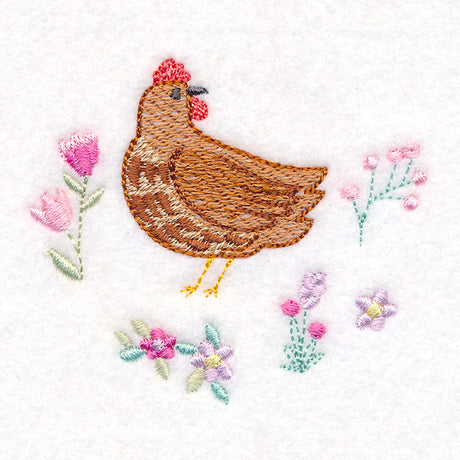 Curious Spring Chicken