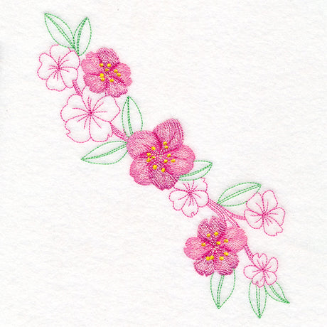 Charming Cherry Blossoms Echo