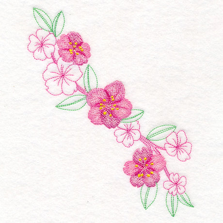 Charming Cherry Blossoms Echo