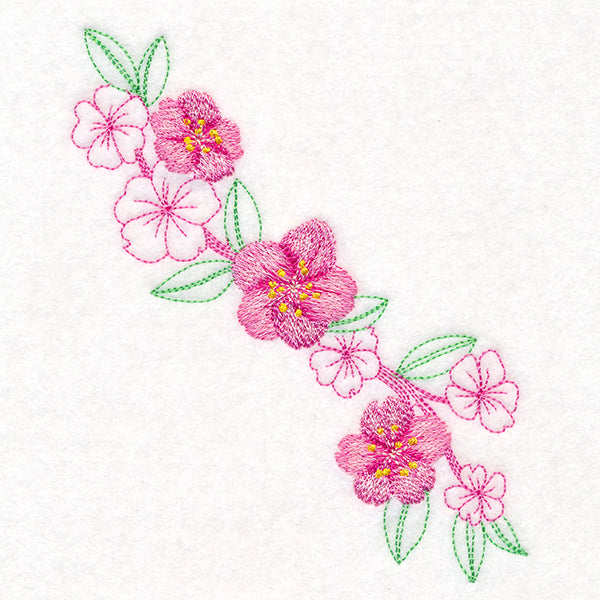 Charming Cherry Blossoms Echo