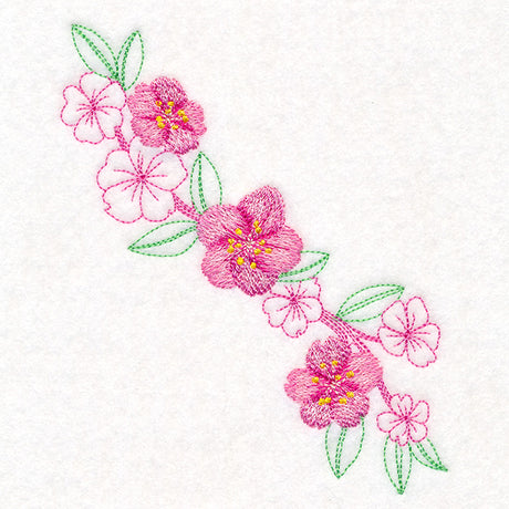 Charming Cherry Blossoms Echo