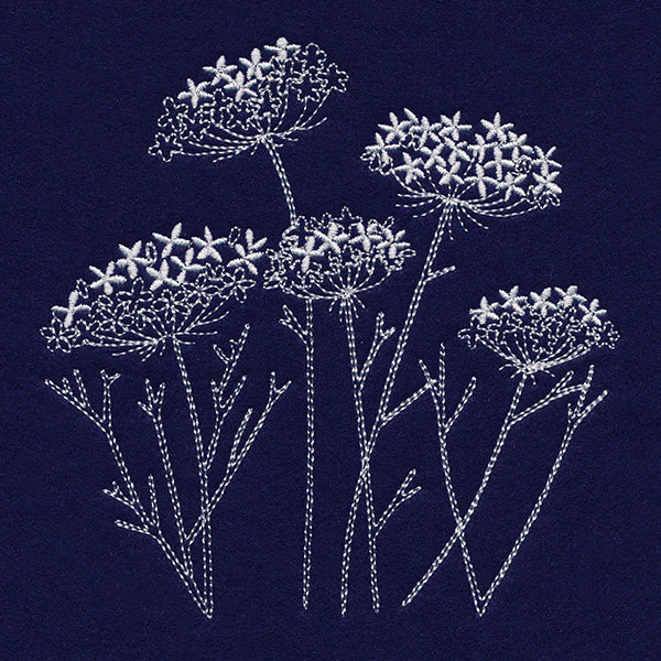 Queen Anne's Lace Pocket Peeker