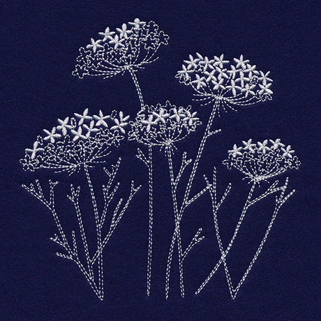 Queen Anne's Lace Pocket Peeker