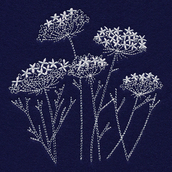Queen Anne's Lace Pocket Peeker