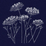 Queen Anne's Lace Pocket Peeker
