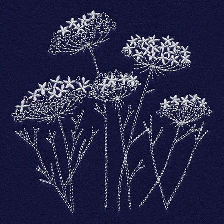 Queen Anne's Lace Pocket Peeker