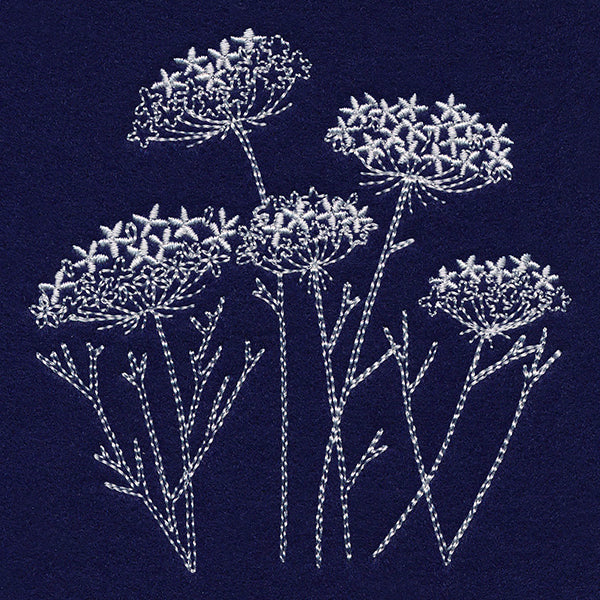 Queen Anne's Lace Pocket Peeker