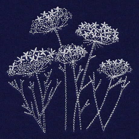 Queen Anne's Lace Pocket Peeker