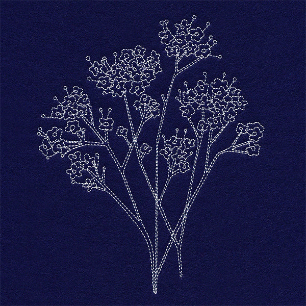 Baby's Breath Pocket Peeker