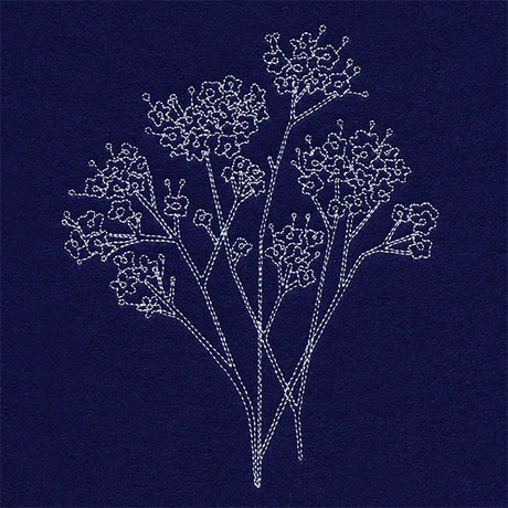 Baby's Breath Pocket Peeker