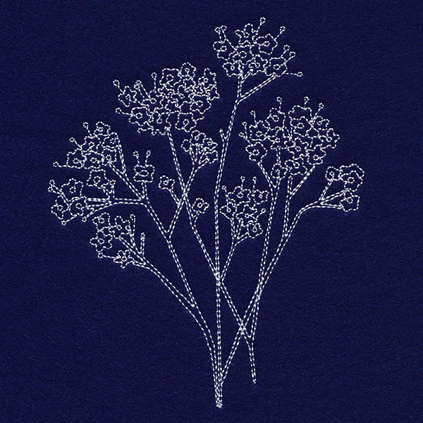 Baby's Breath Pocket Peeker