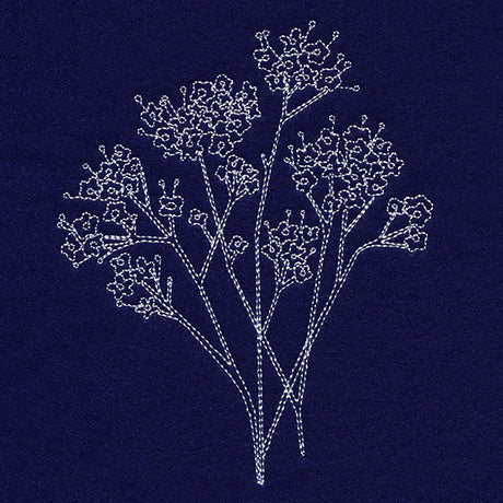 Baby's Breath Pocket Peeker