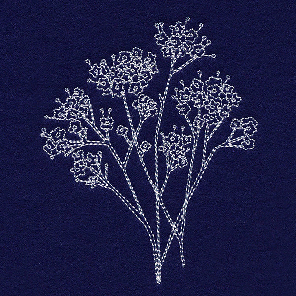 Baby's Breath Pocket Peeker