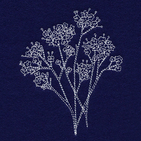 Baby's Breath Pocket Peeker